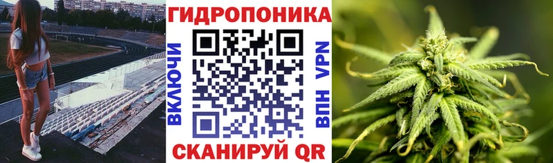 Бошки марихуана Amnesia  Купить где  Арсеньев 